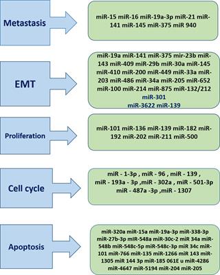 The Potential Diagnostic and Prognostic Value of Circulating MicroRNAs in the Assessment of Patients With Prostate Cancer: Rational and Progress